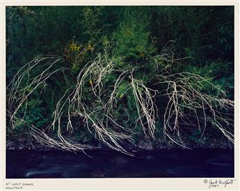 JACK WELPOTT (1923-2007) Verrières * At Wolf Creek, Montana. 1982 and 1987.